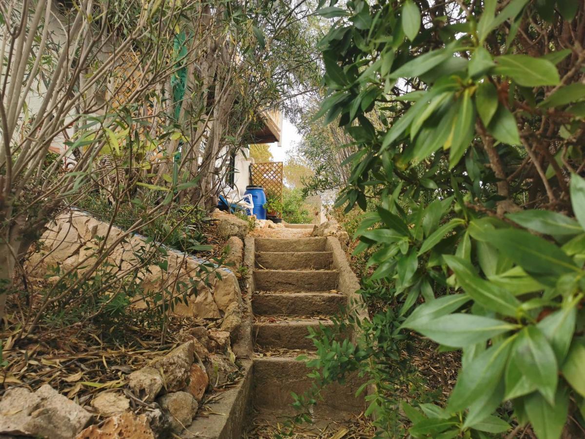 Casa Joy Villa Guia  Bagian luar foto